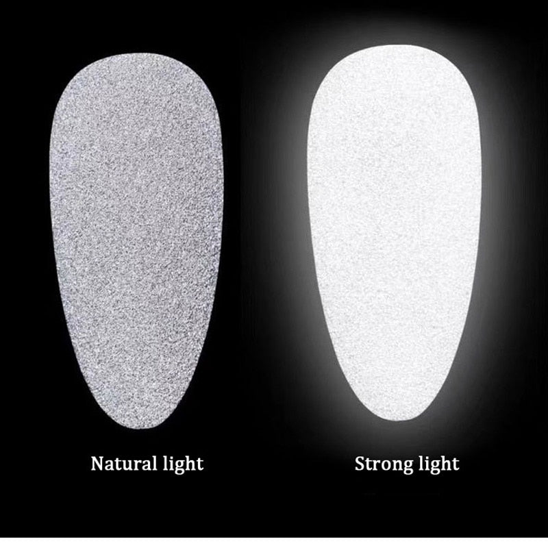 4g Reflective Nail Powder